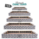 Set of 5 - Silver Rectangle Cane Baskets for Gifting or Wedding decoration