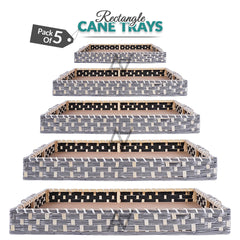 Set of 5 -  Silver Rectangle Cane Baskets for Gifting or Wedding decoration