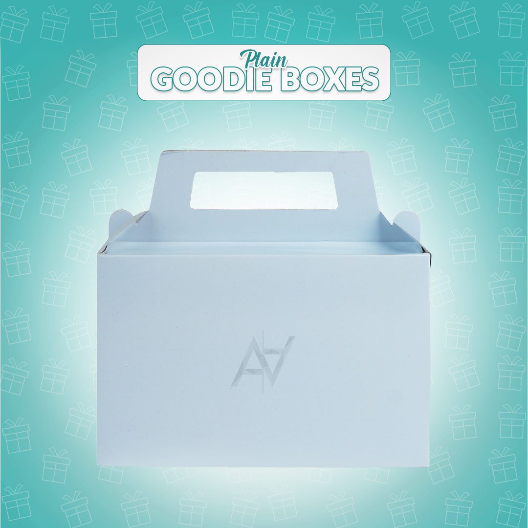 Pack of 10 - Baby Blue Goodie Boxes | Perfect for Parties & Events – Ali Akbar Decoration