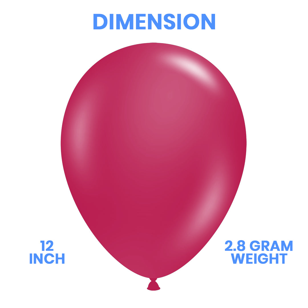 Shocking Pink Latex Balloon