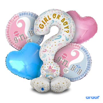 Gender Reveal Foil Balloon 5 Pcs Set