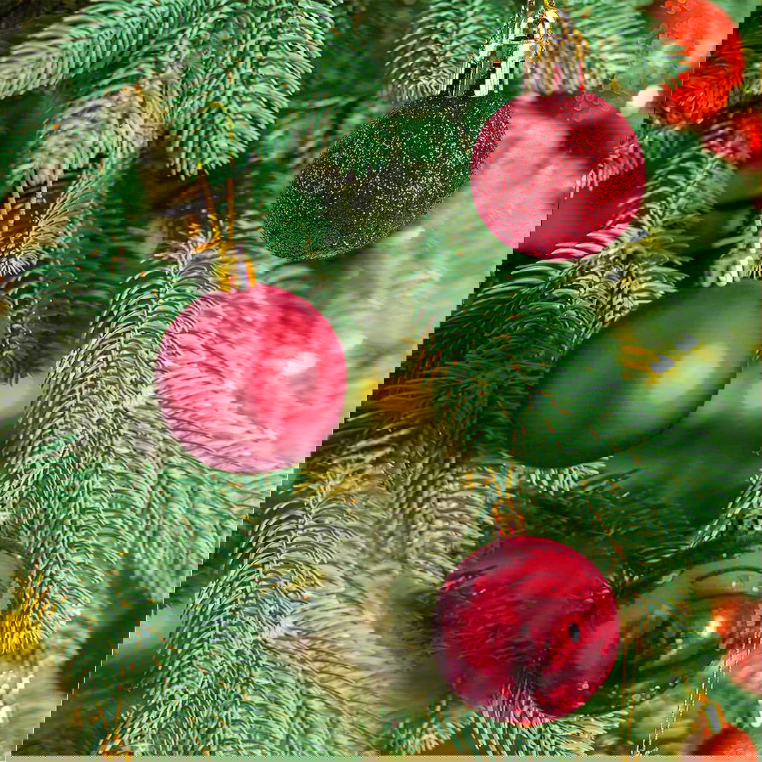 Golden & Red Hanging Ball 6 Pcs for Christmas Party Decor - ardor