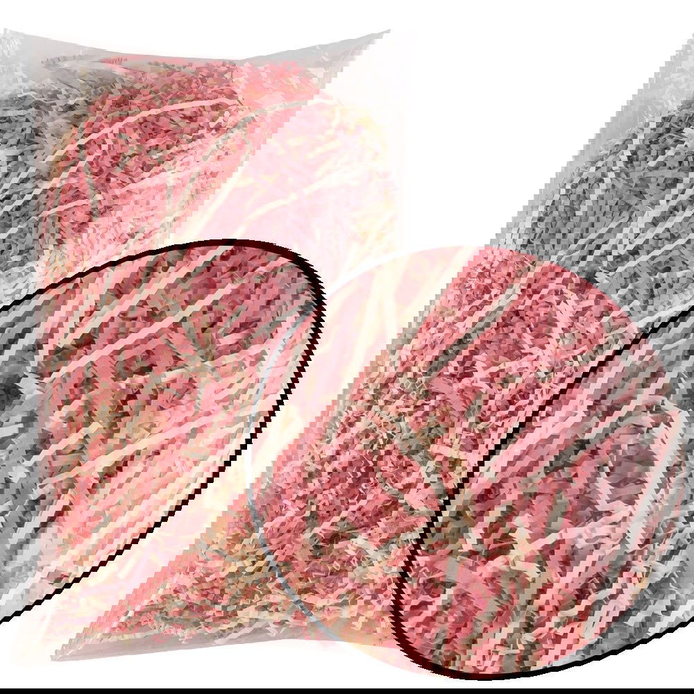 Pink Paper Grass - ardor