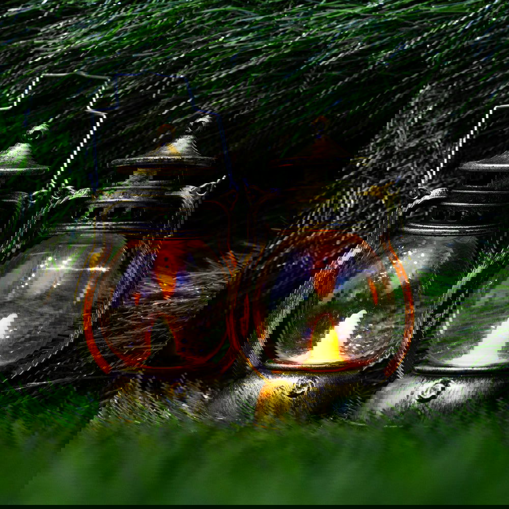 Vintage Black & Golden Lanterns - ardor