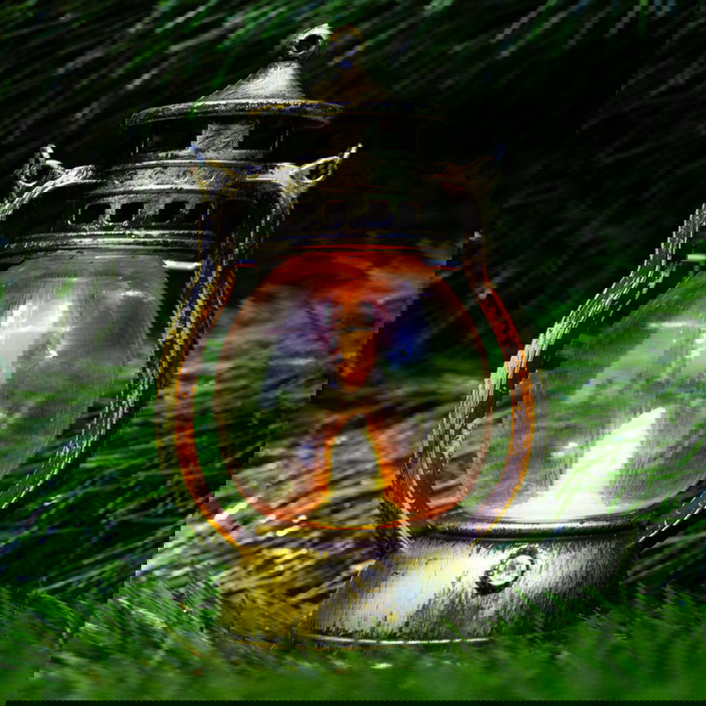 Vintage Black & Golden Lanterns - ardor