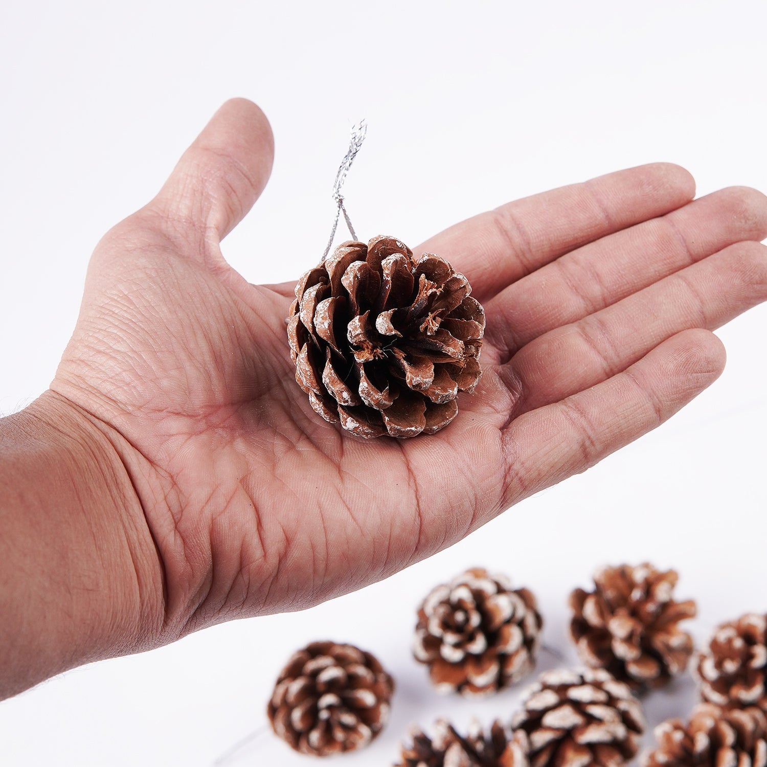 Christmas 9 Pcs Hanging Pinecone Wood Frosted For Christmas Party Decor - aliakbardecoration